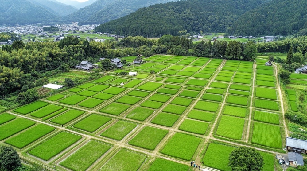 気候変動時代の新潟米作り ～ 産地の最前線で見つめた希望と課題